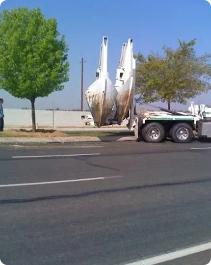 Professional Tree Relocation